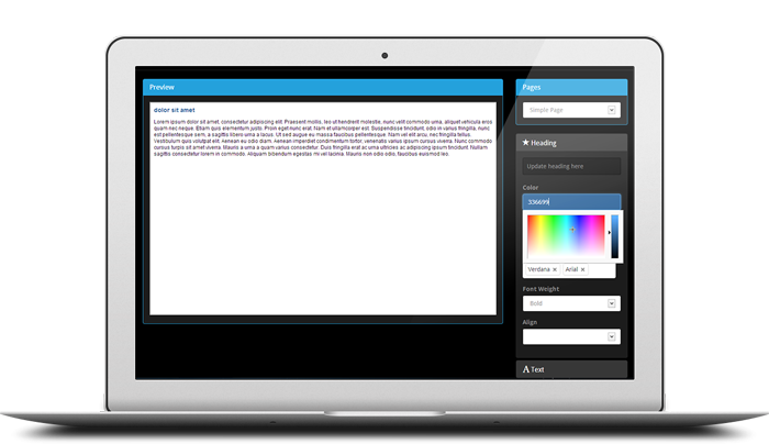 Theme Customizer